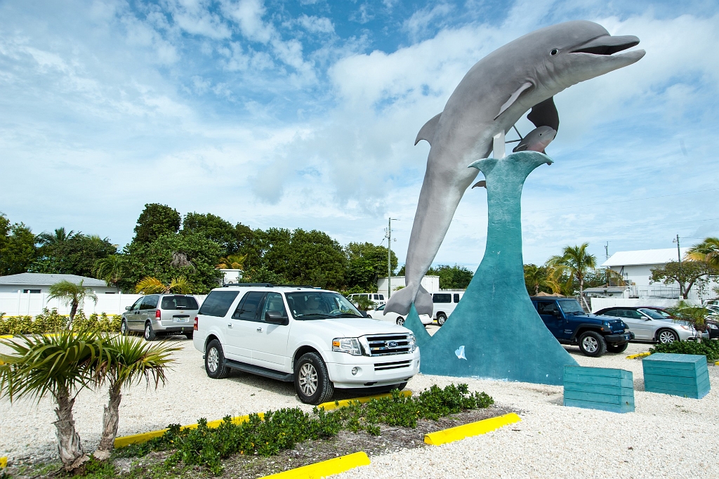 DSC_8802.jpg - Dolphin Research Center - Grassy Key 