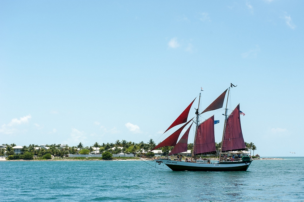 DSC_9667.jpg - Key West 2013