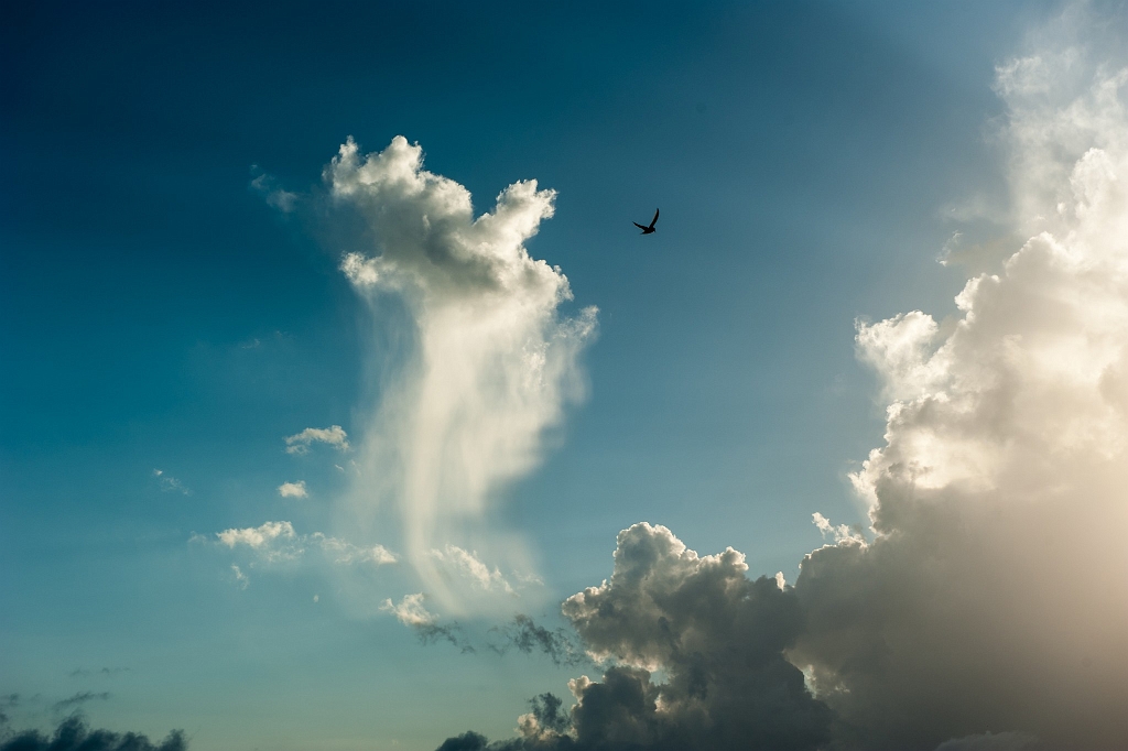 DSC_9732.jpg - Key West 2013