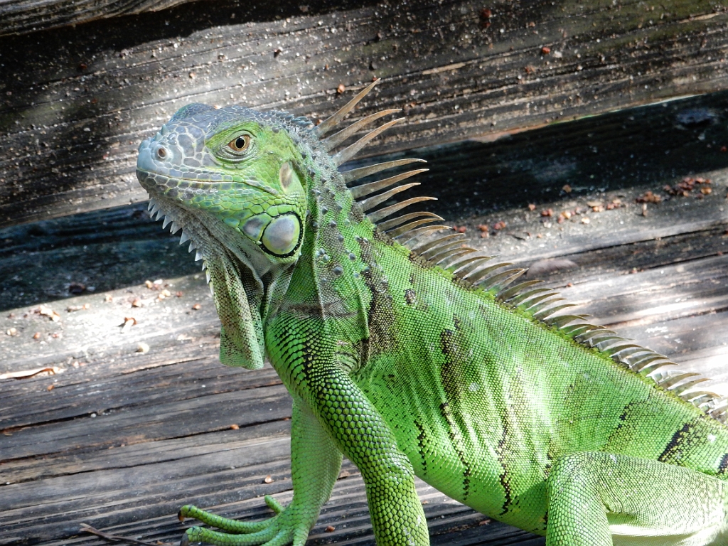 DSCN0146.JPG - Opvangcentrum 