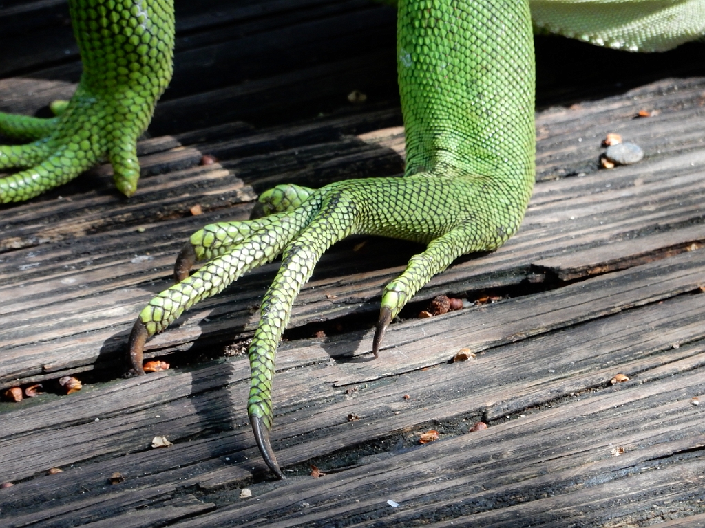 DSCN0148.JPG - Opvangcentrum 