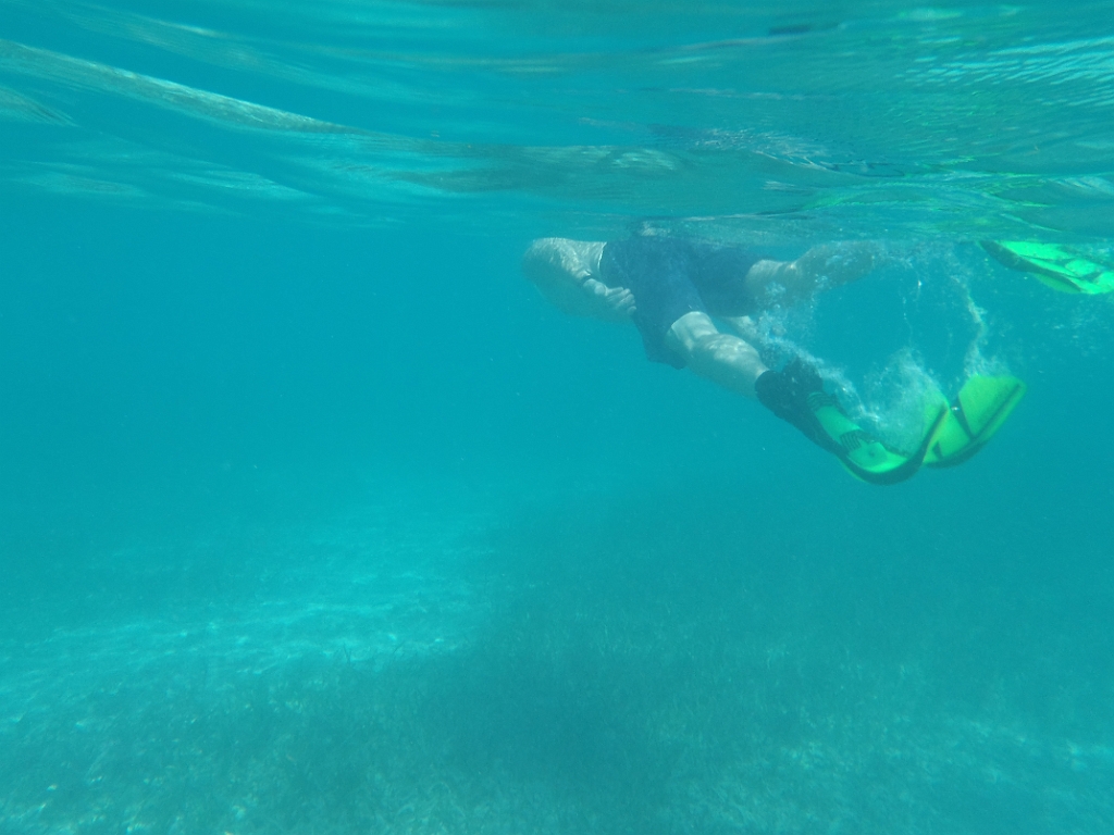 PA130013.JPG - Key West Seaplane Adventures - Dry Tortugas National Park