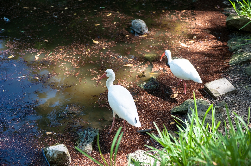 _DSC2698.jpg - Opvangcentrum 