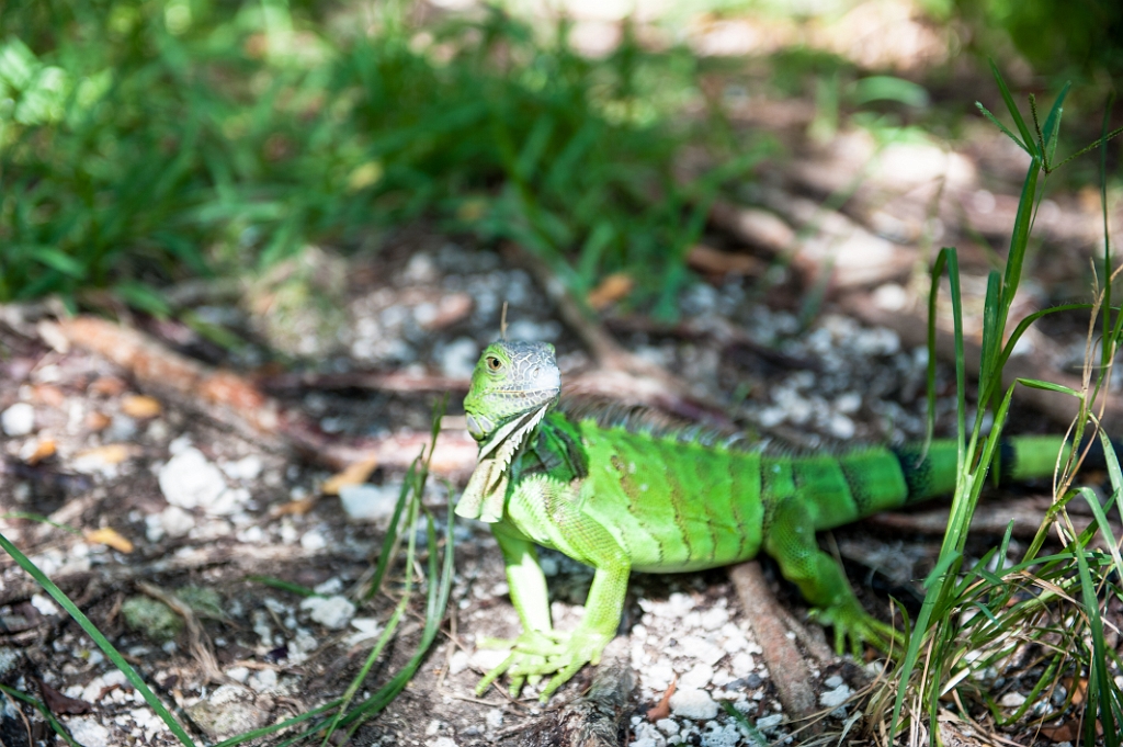 _DSC2726.jpg - Opvangcentrum 