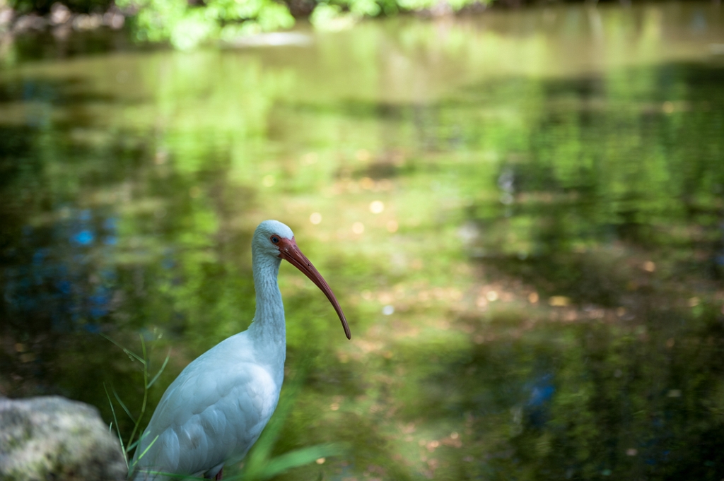 _DSC2728.jpg - Opvangcentrum 
