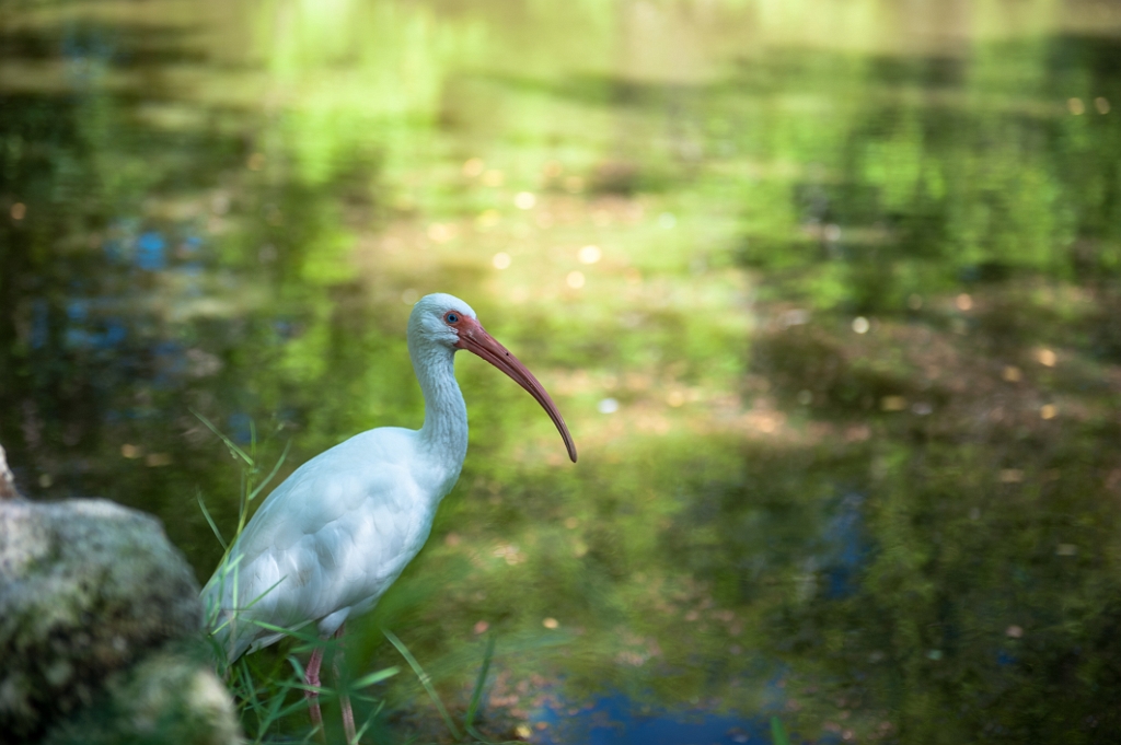 _DSC2729.jpg -  Opvangcentrum 