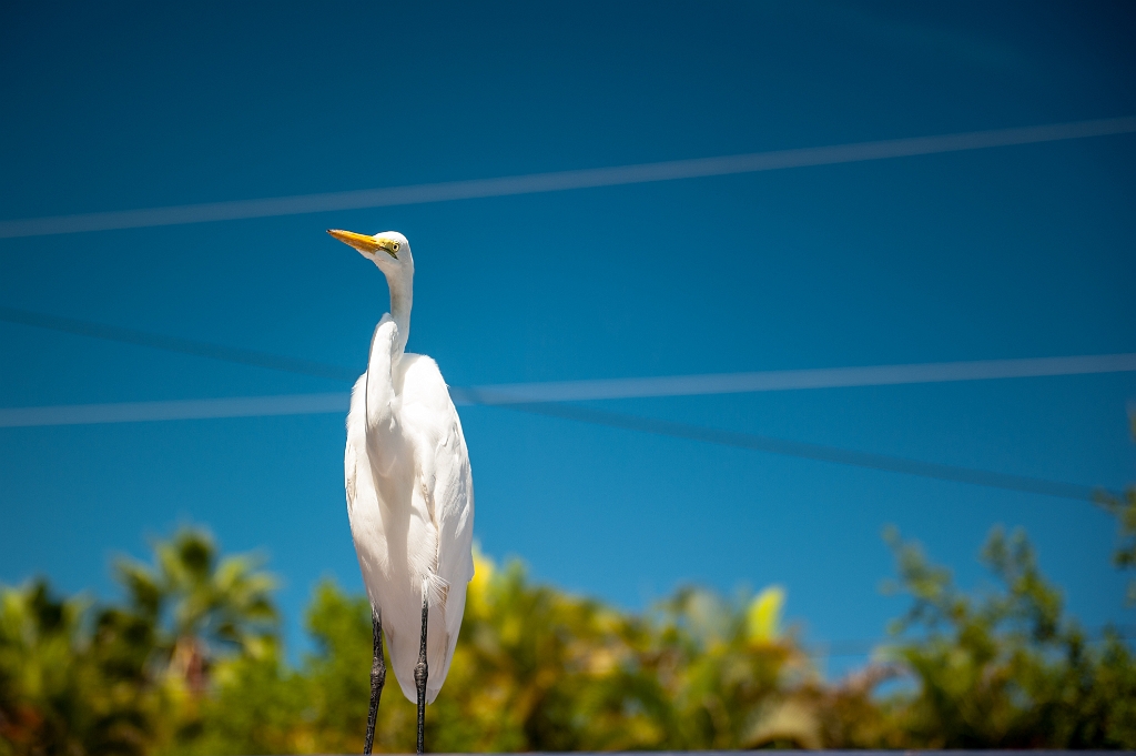 _DSC2732.jpg - Opvangcentrum 