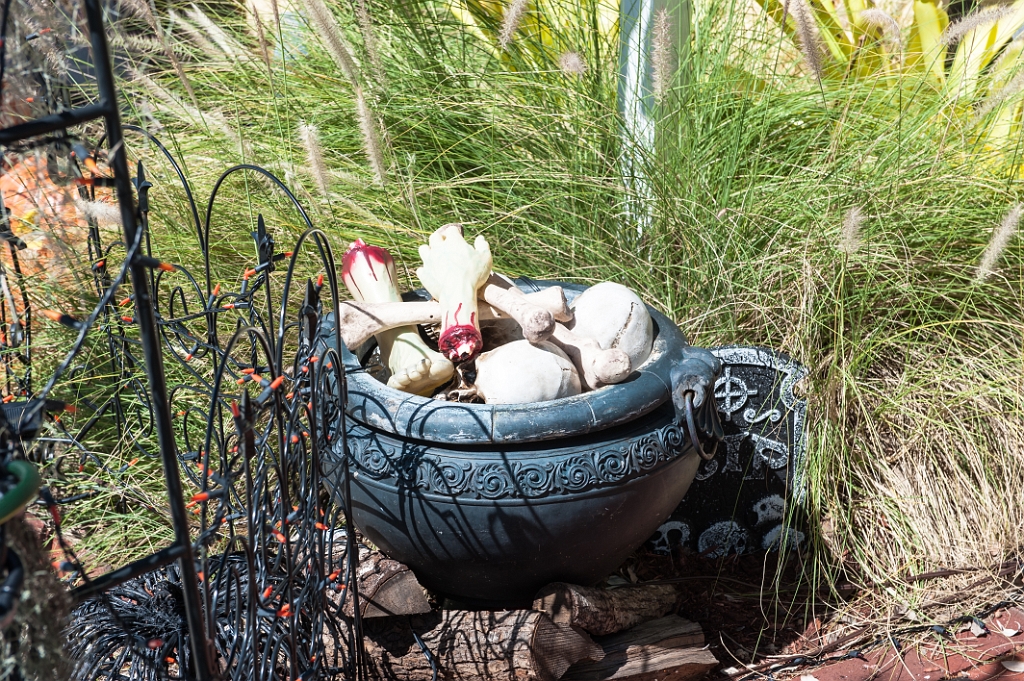 _DSC2740.jpg - Halloween