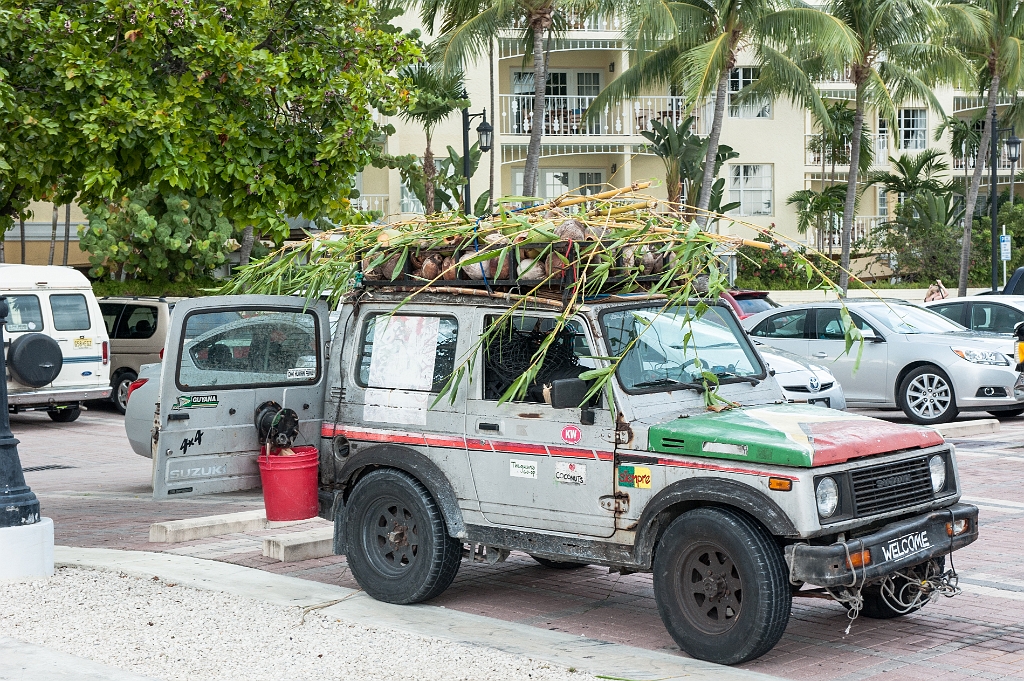 _DSC2761.jpg - LokoCoco