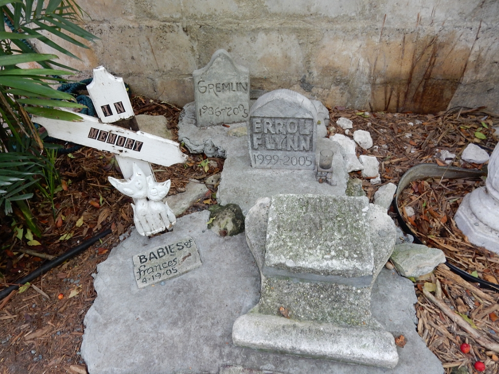 DSCN0525.jpg