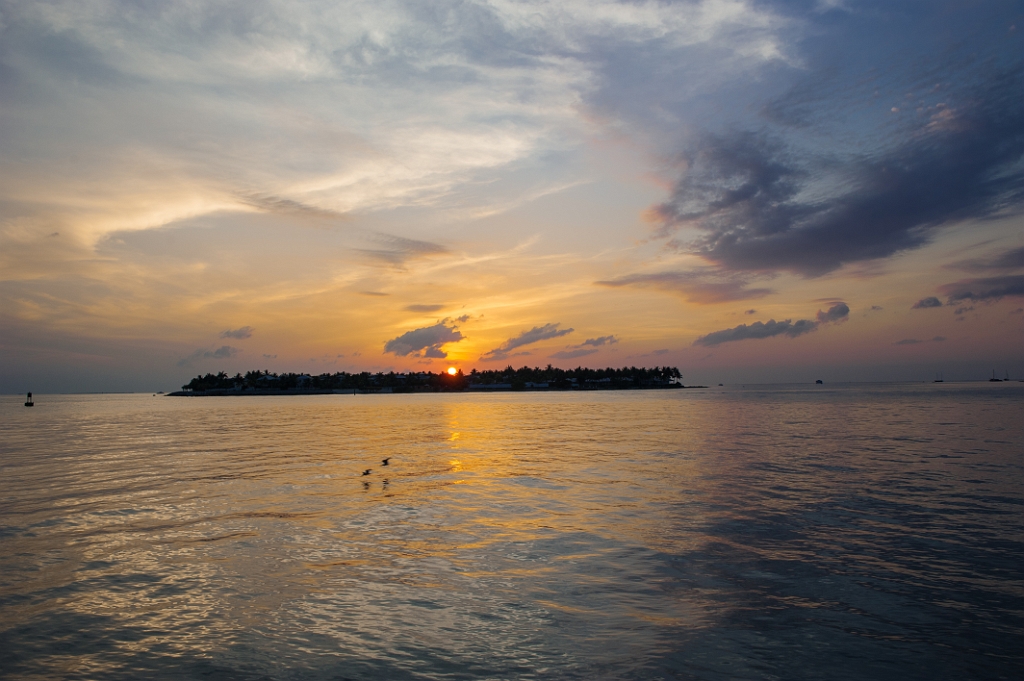 _DSC3574.jpg