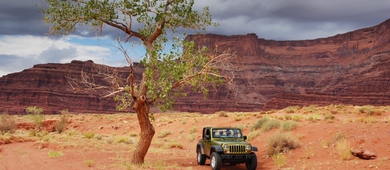 DSC_3962-mdo4ta0j96kz7h1pwj4np6ig4yyz50yg26e1q7pxnw