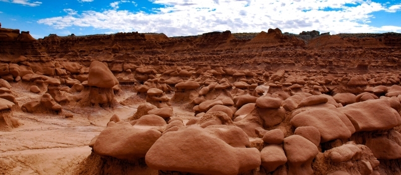 DSC_4062-mdo8sr3ofszlcqn541rlsh4cd9sx1tjhgb75tozlws